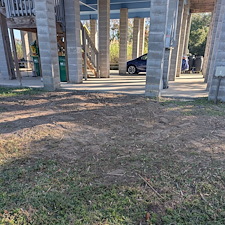 Bush-Trimming-removal-in-Ocean-Springs-Ms 3